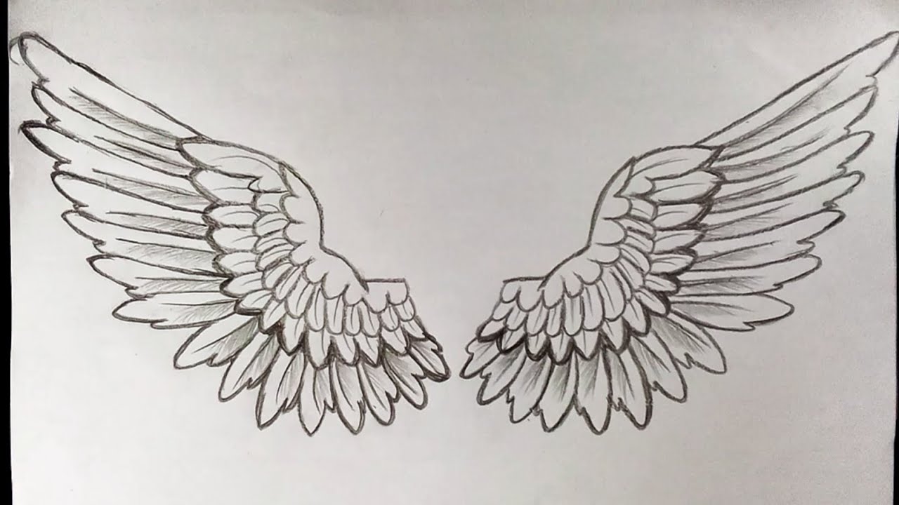 Detail Drawing Angel Wings Step By Step Nomer 42