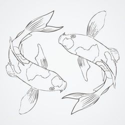 Detail Drawing Ikan Koi Nomer 2