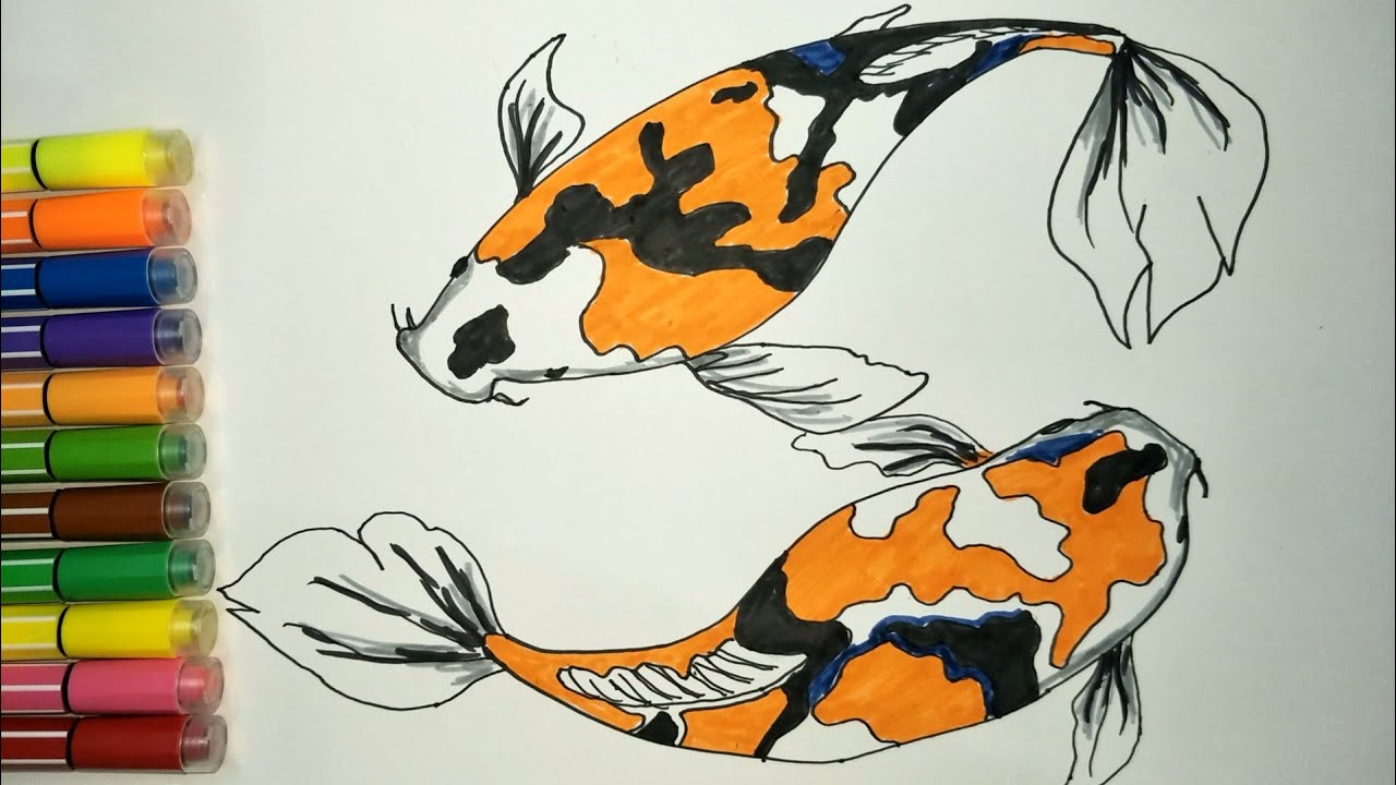 Detail Drawing Ikan Koi Nomer 25