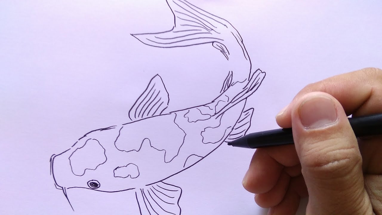 Detail Drawing Ikan Koi Nomer 4