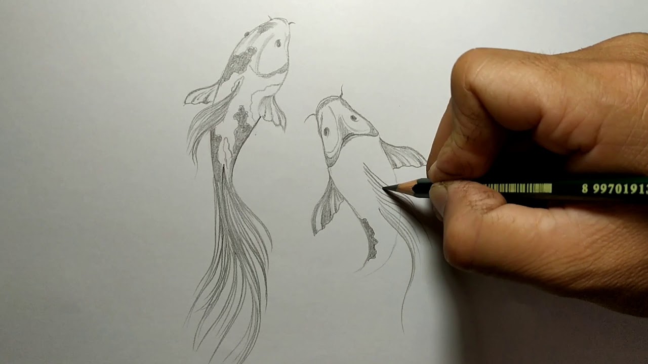 Detail Drawing Ikan Koi Nomer 33