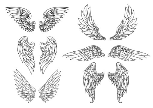 Detail Drawing Of Angels Wings Nomer 15