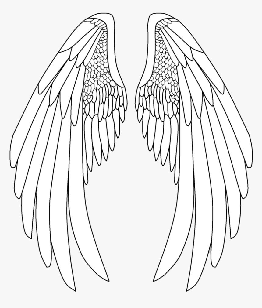 Detail Drawing Of Angels Wings Nomer 17