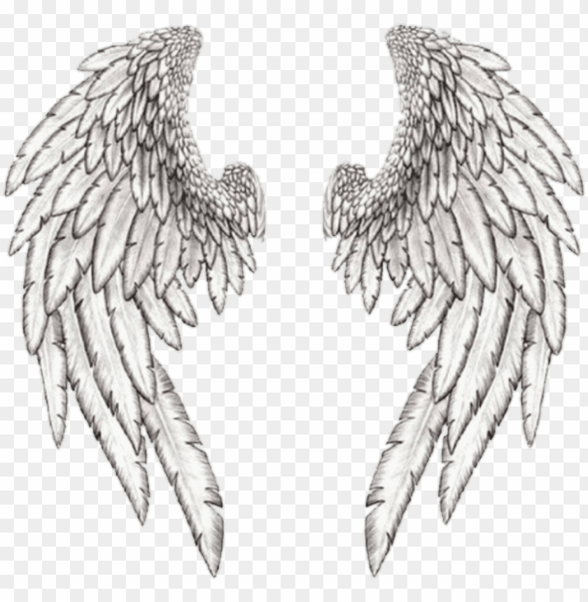 Detail Drawing Of Angels Wings Nomer 25