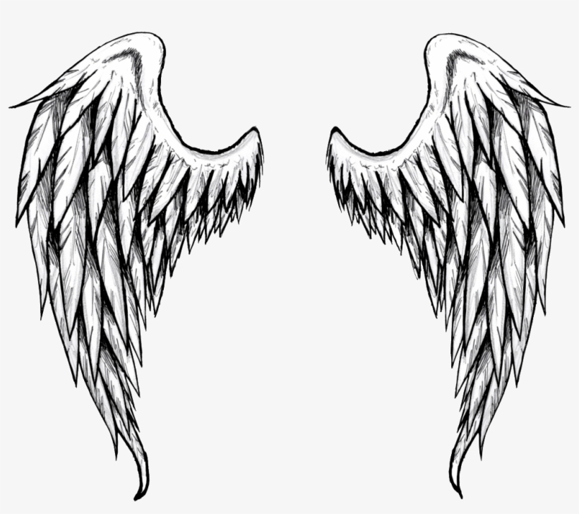 Detail Drawing Of Angels Wings Nomer 31