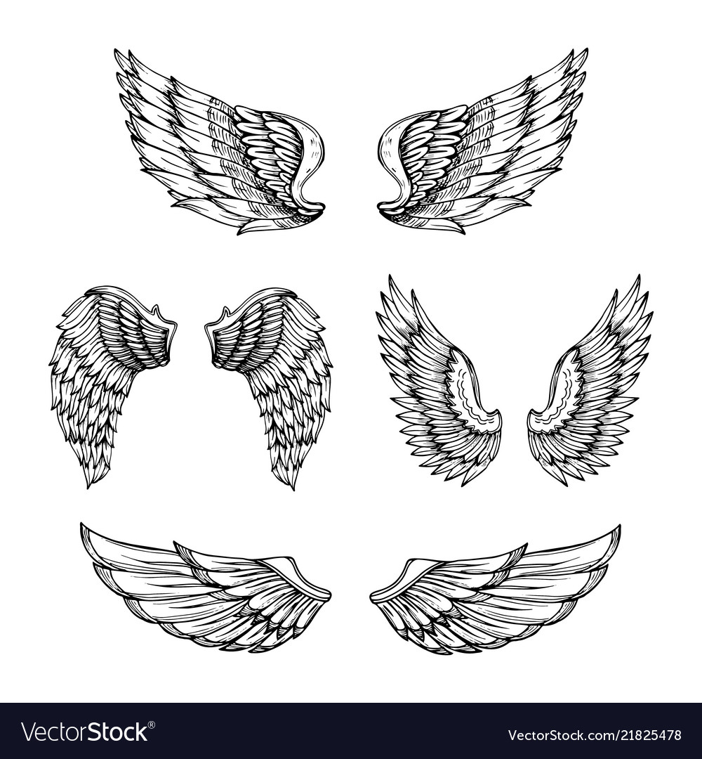 Detail Drawing Of Angels Wings Nomer 44