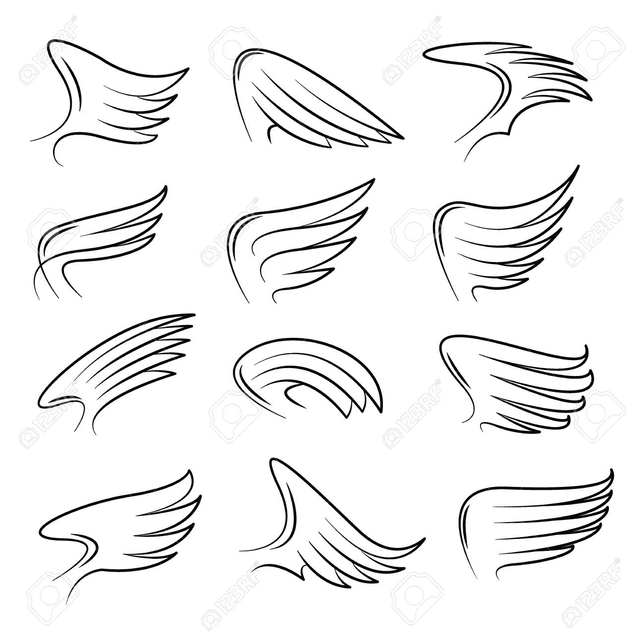 Detail Drawing Of Bird Wings Nomer 34