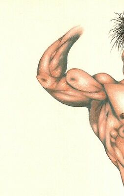 Detail Drawings Of Muscular Men Nomer 35