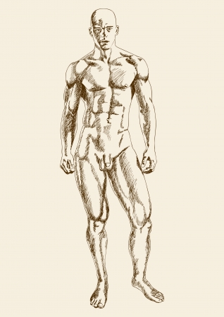 Detail Drawings Of Muscular Men Nomer 47