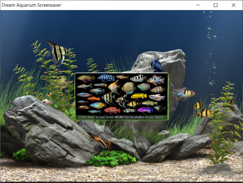 Detail Dream Aquarium Full Version Nomer 20