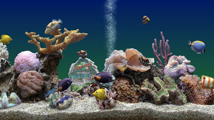 Detail Dream Aquarium Full Version Nomer 26