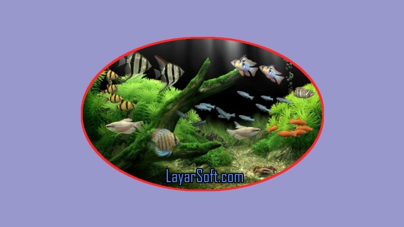 Detail Dream Aquarium Full Version Nomer 37