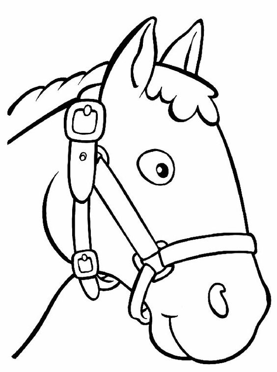 Detail Pferd Zeichnen Vorlage Nomer 11