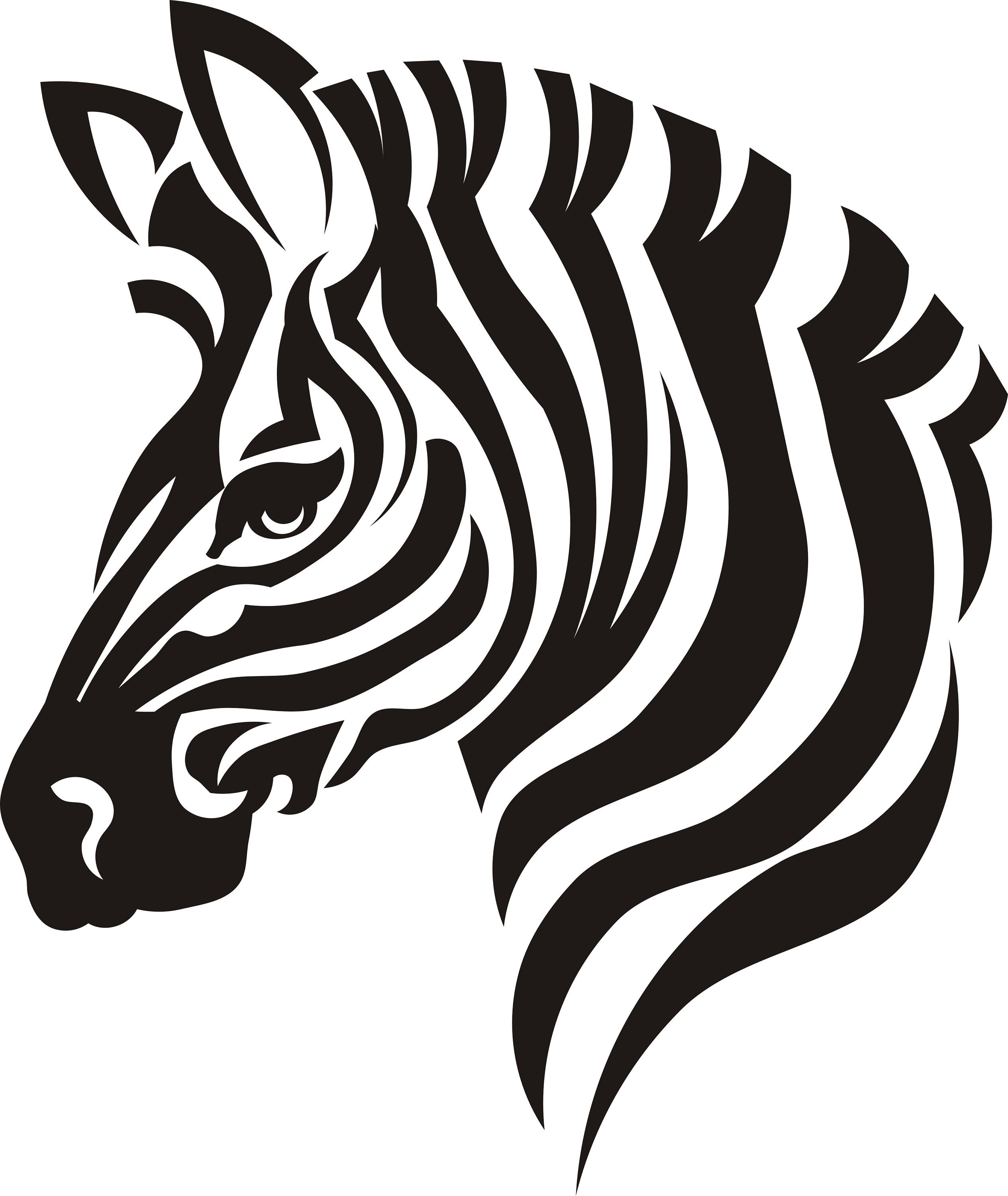 Detail Zebra Kopf Zeichnen Nomer 9