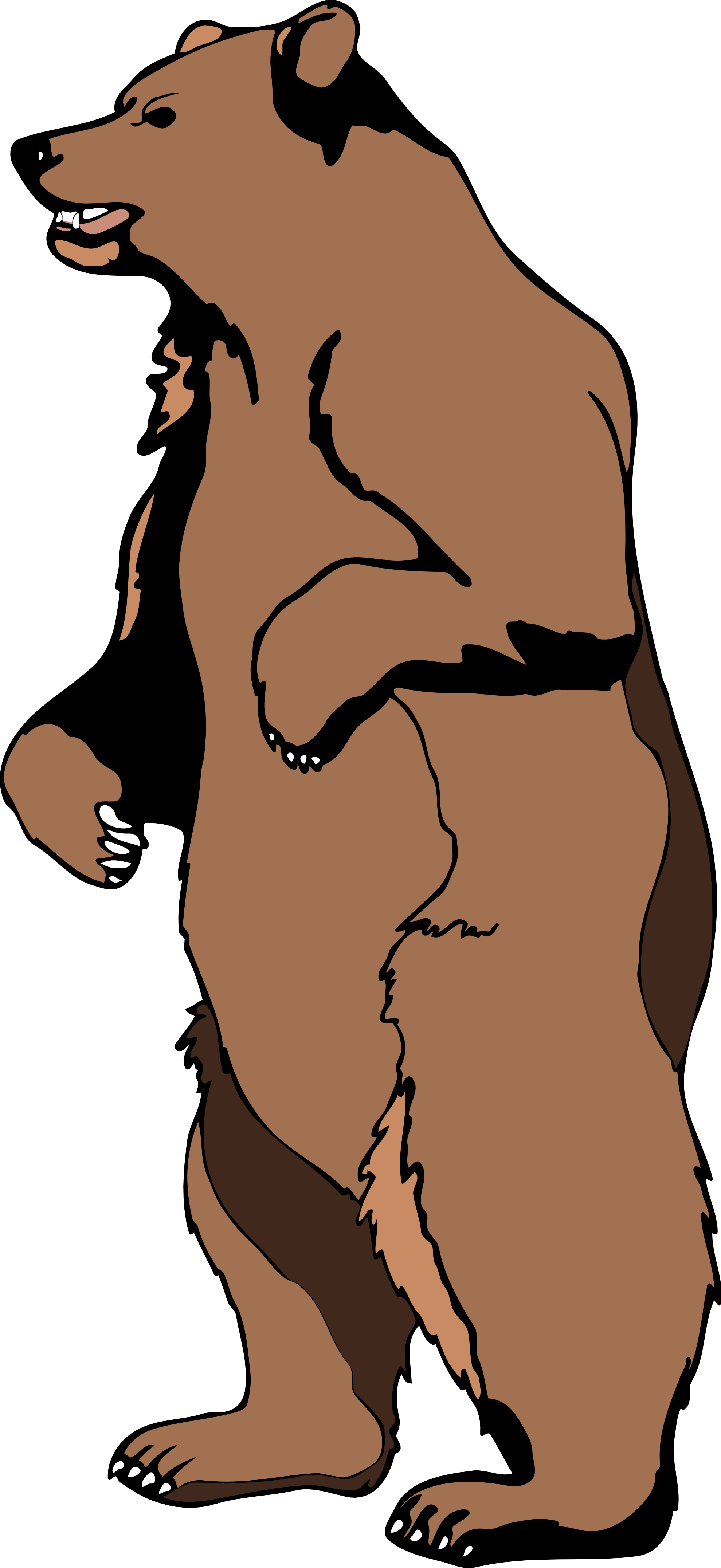 Bear Standing Up - KibrisPDR