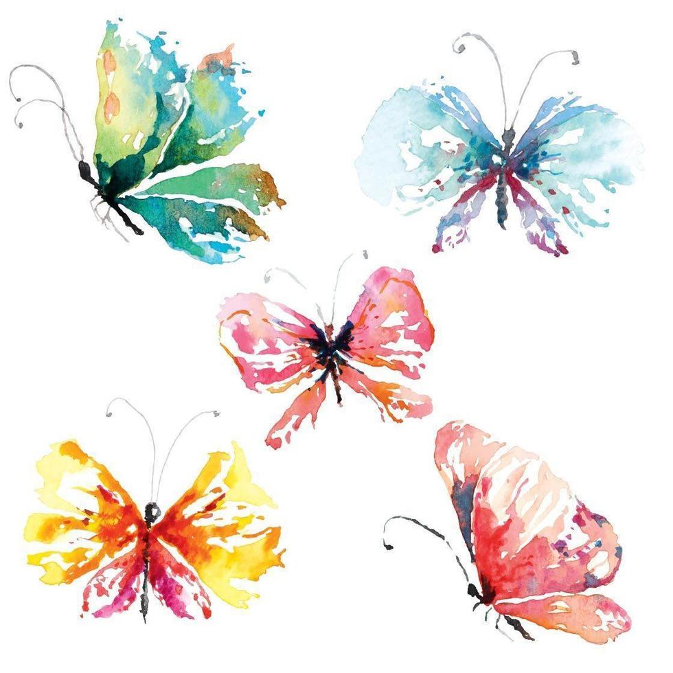 Download Bilder Schmetterlinge Nomer 14