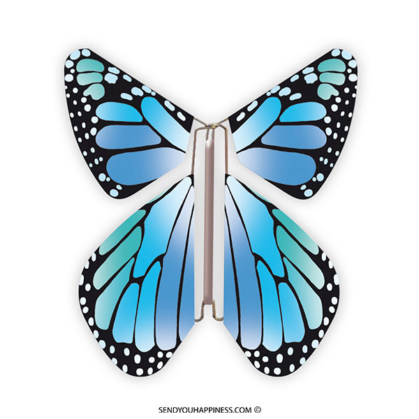 Detail Bilder Schmetterlinge Nomer 17