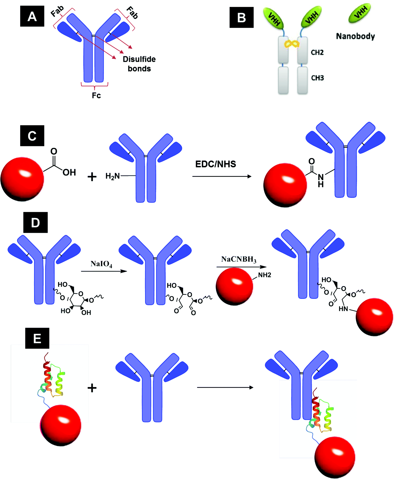 Detail Casein Structure Formula Nomer 13