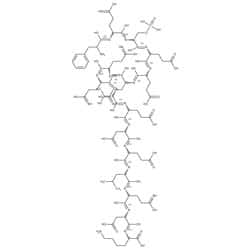 Casein Structure Formula - KibrisPDR