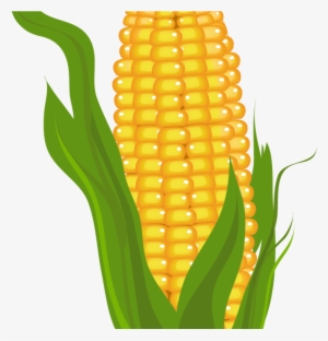 Detail Corn Field Clipart Nomer 7
