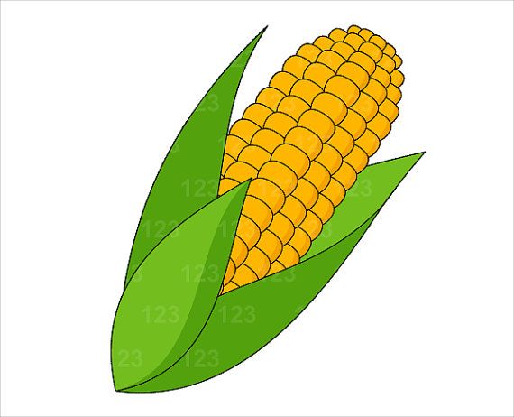 Detail Corn Field Clipart Nomer 2