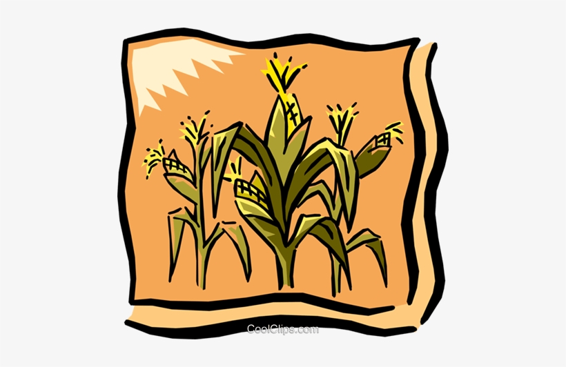 Detail Corn Field Clipart Nomer 4