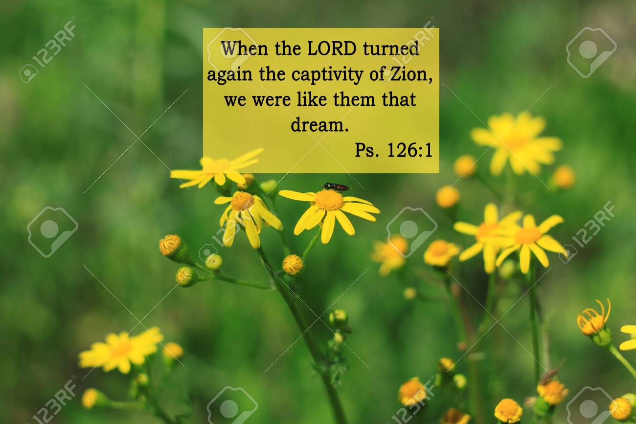 Detail Dream Quotes From The Bible Nomer 47