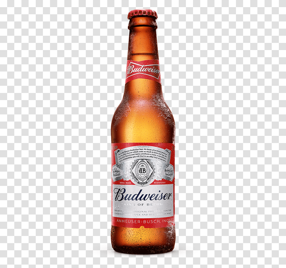 Detail Drink A Beer Download Nomer 19