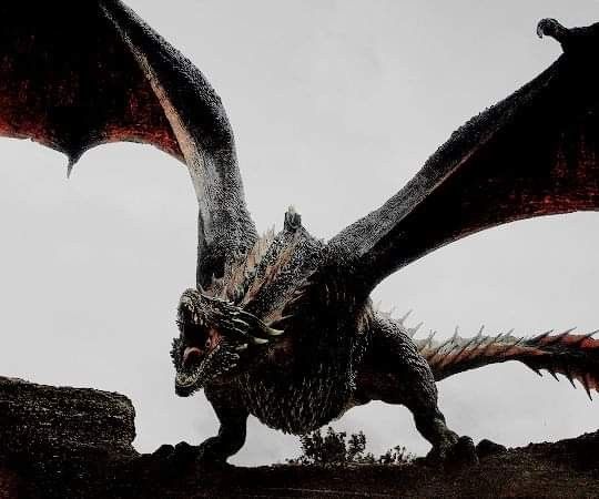 Detail Drogon Game Of Thrones Nomer 34