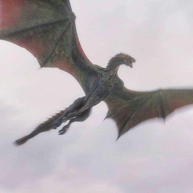 Detail Drogon Game Of Thrones Nomer 58