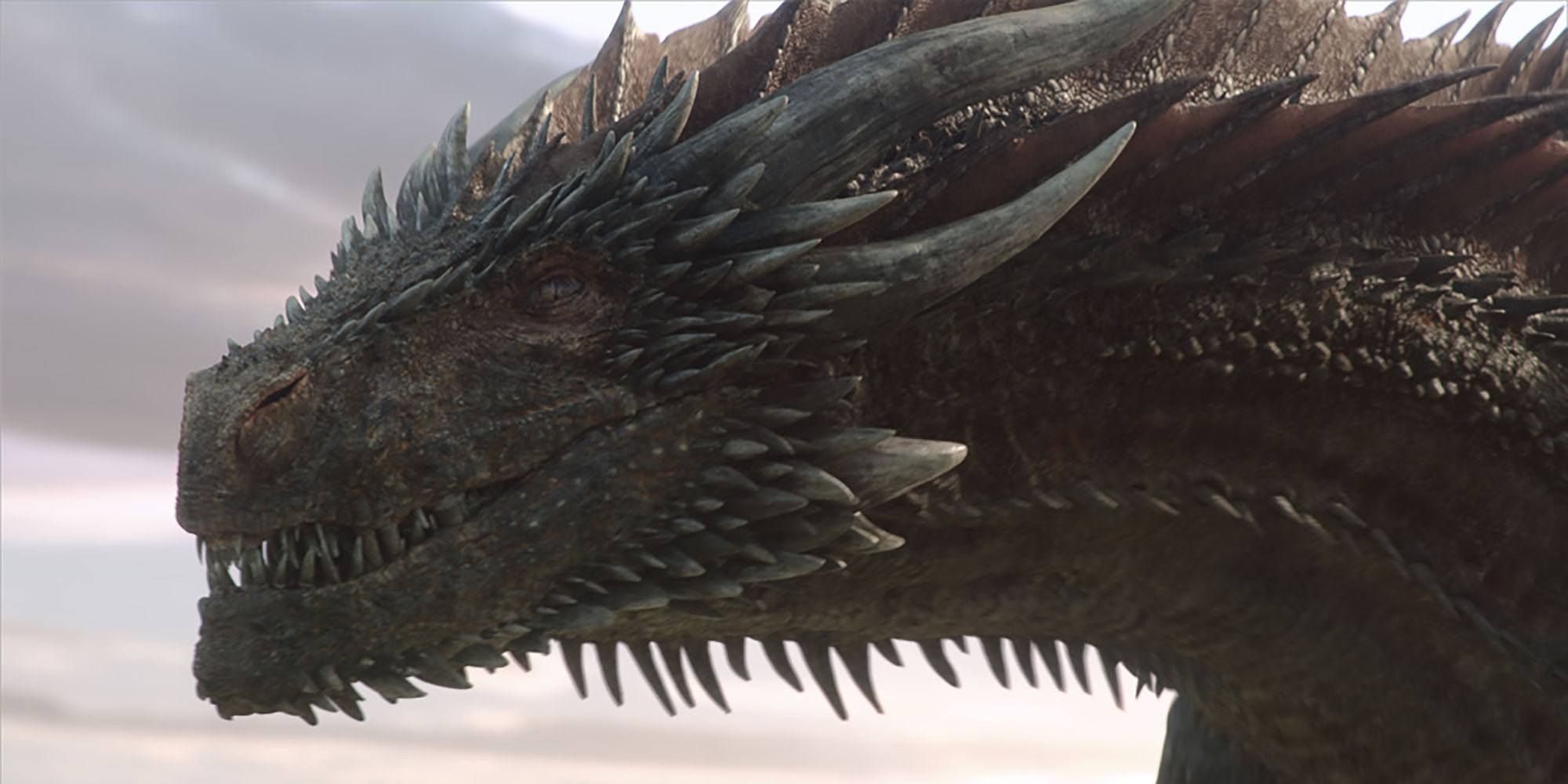 Detail Drogon Game Of Thrones Nomer 8