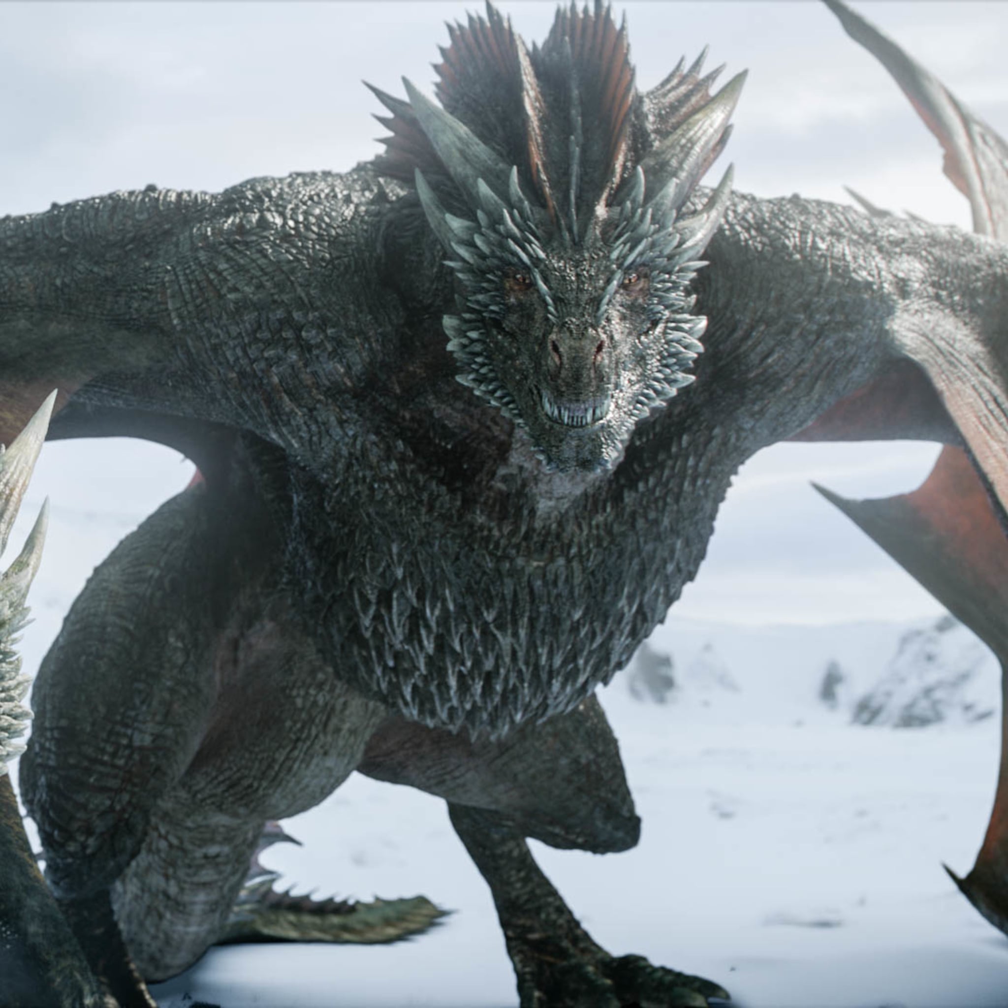 Detail Drogon Pics Nomer 5