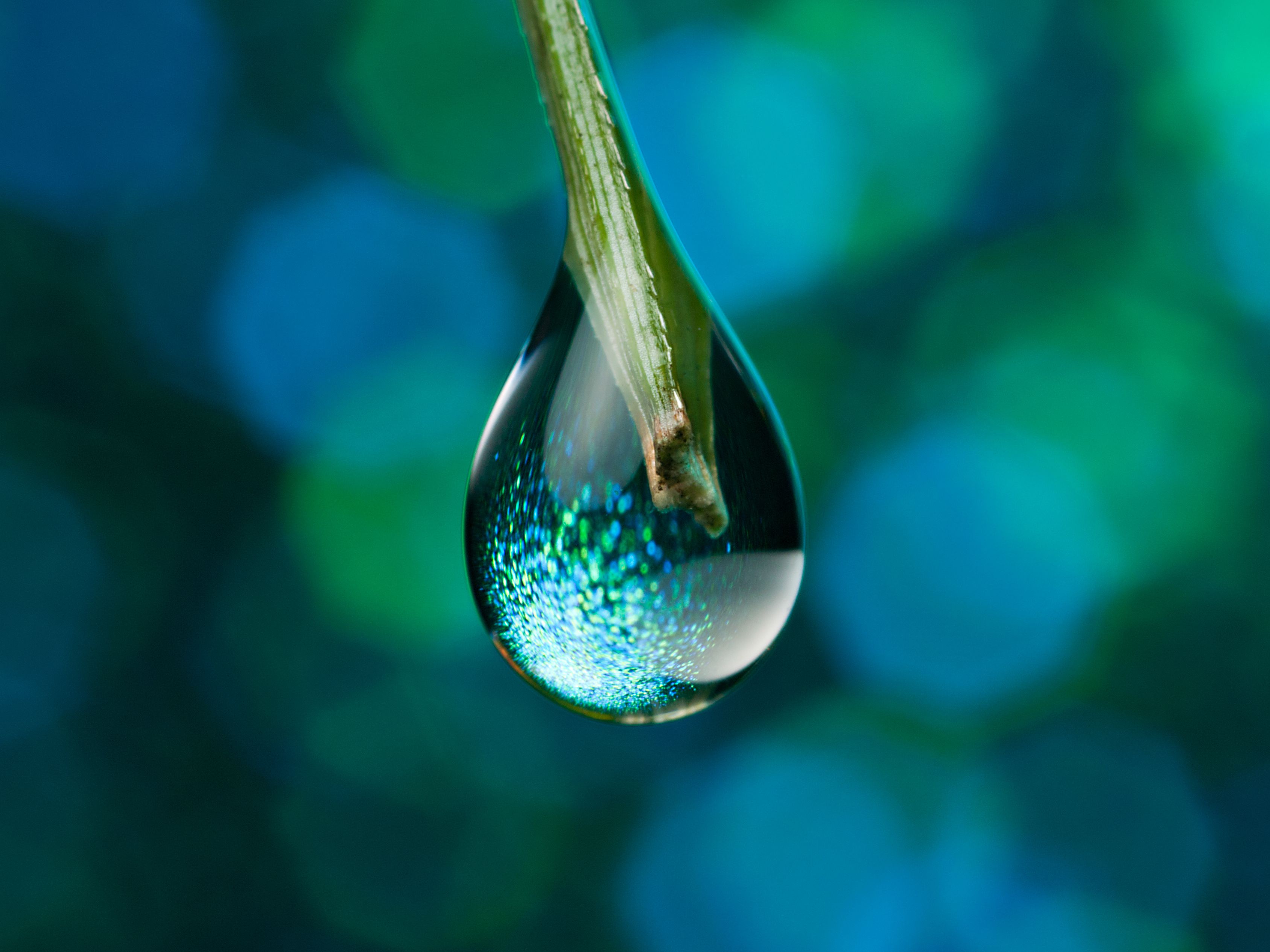 Drops Of Water - KibrisPDR