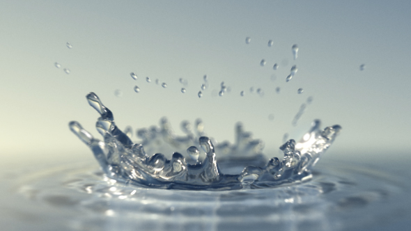 Detail Drops Of Water Nomer 20