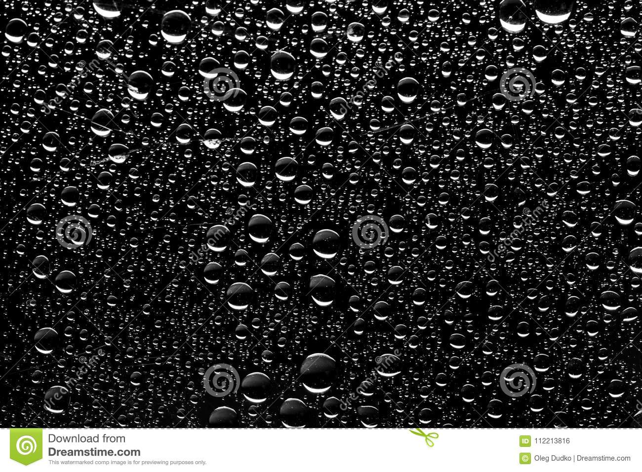 Detail Drops Of Water Nomer 51
