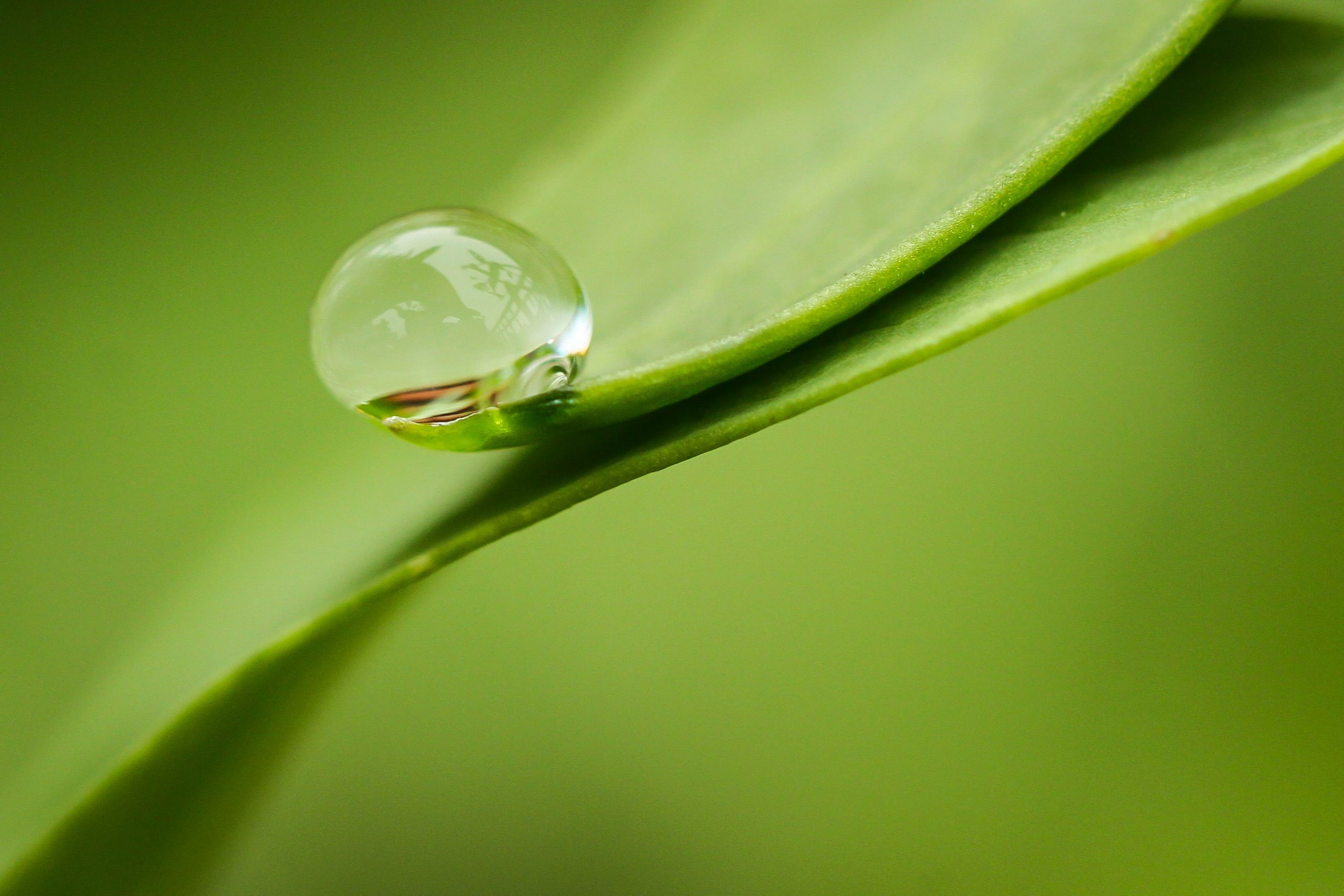 Detail Drops Of Water Nomer 55