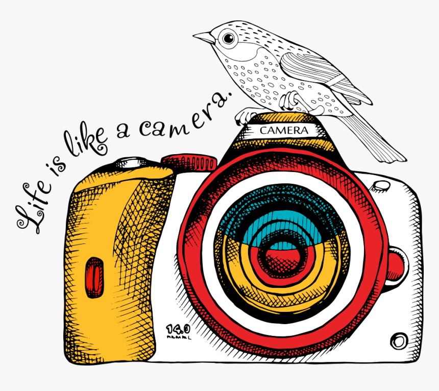 Detail Dslr Vector Png Nomer 26