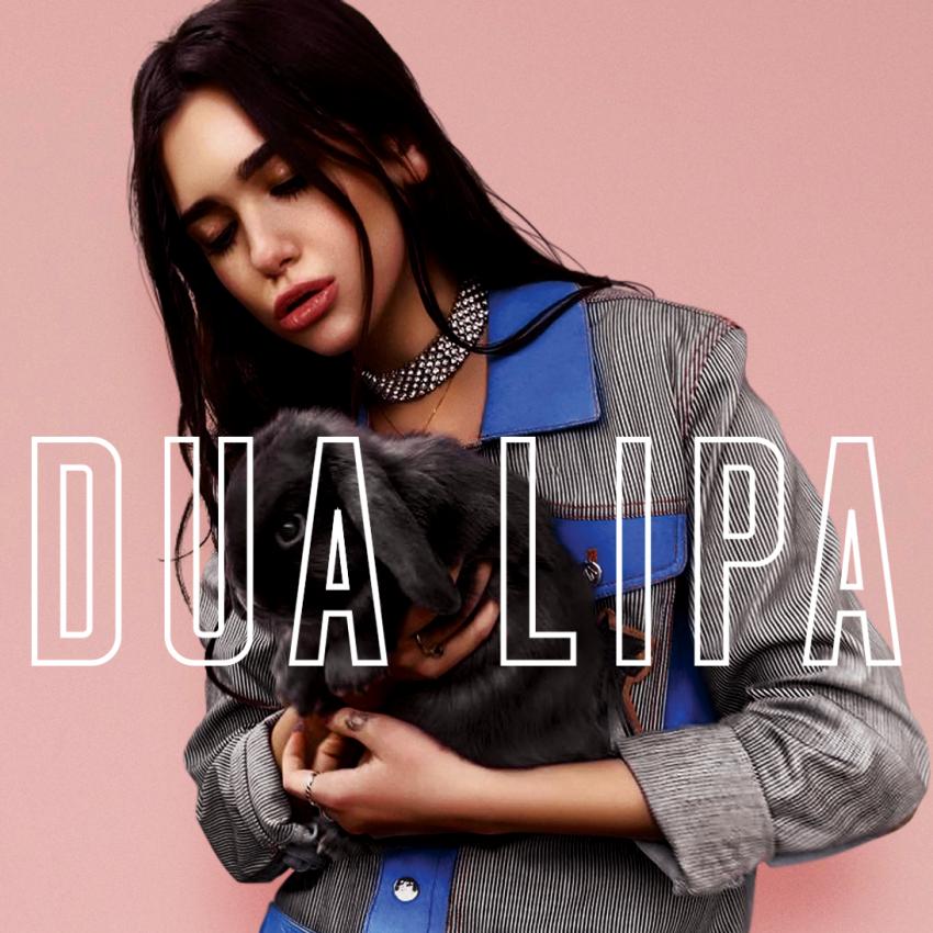 Detail Dua Lipa Hd Nomer 33