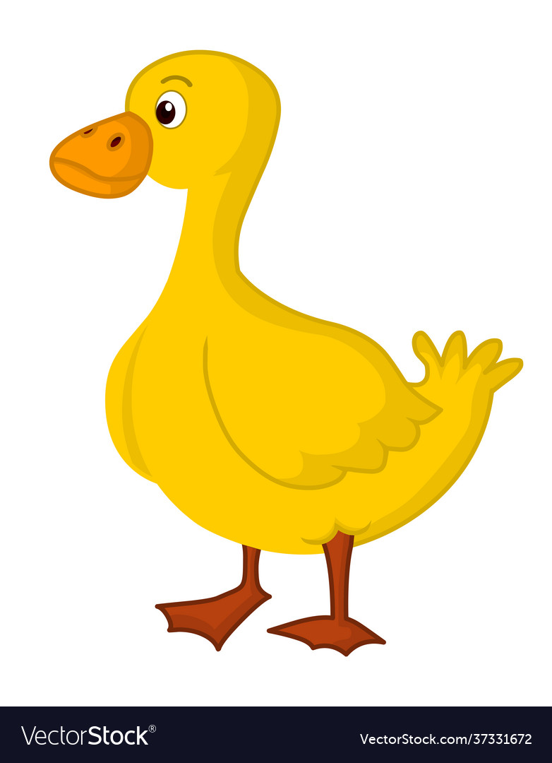 Detail Duck Animated Images Nomer 27