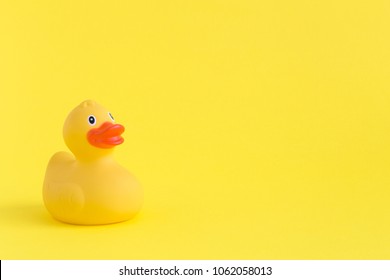 Detail Duck Background Images Nomer 30