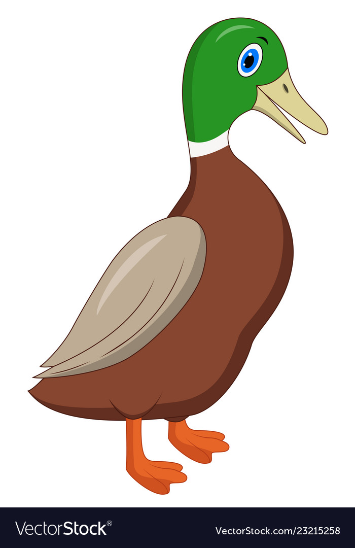 Detail Duck Background Images Nomer 49