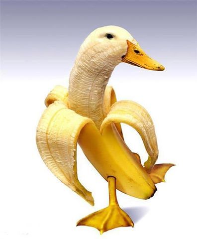 Download Duck Banana Statue Nomer 59