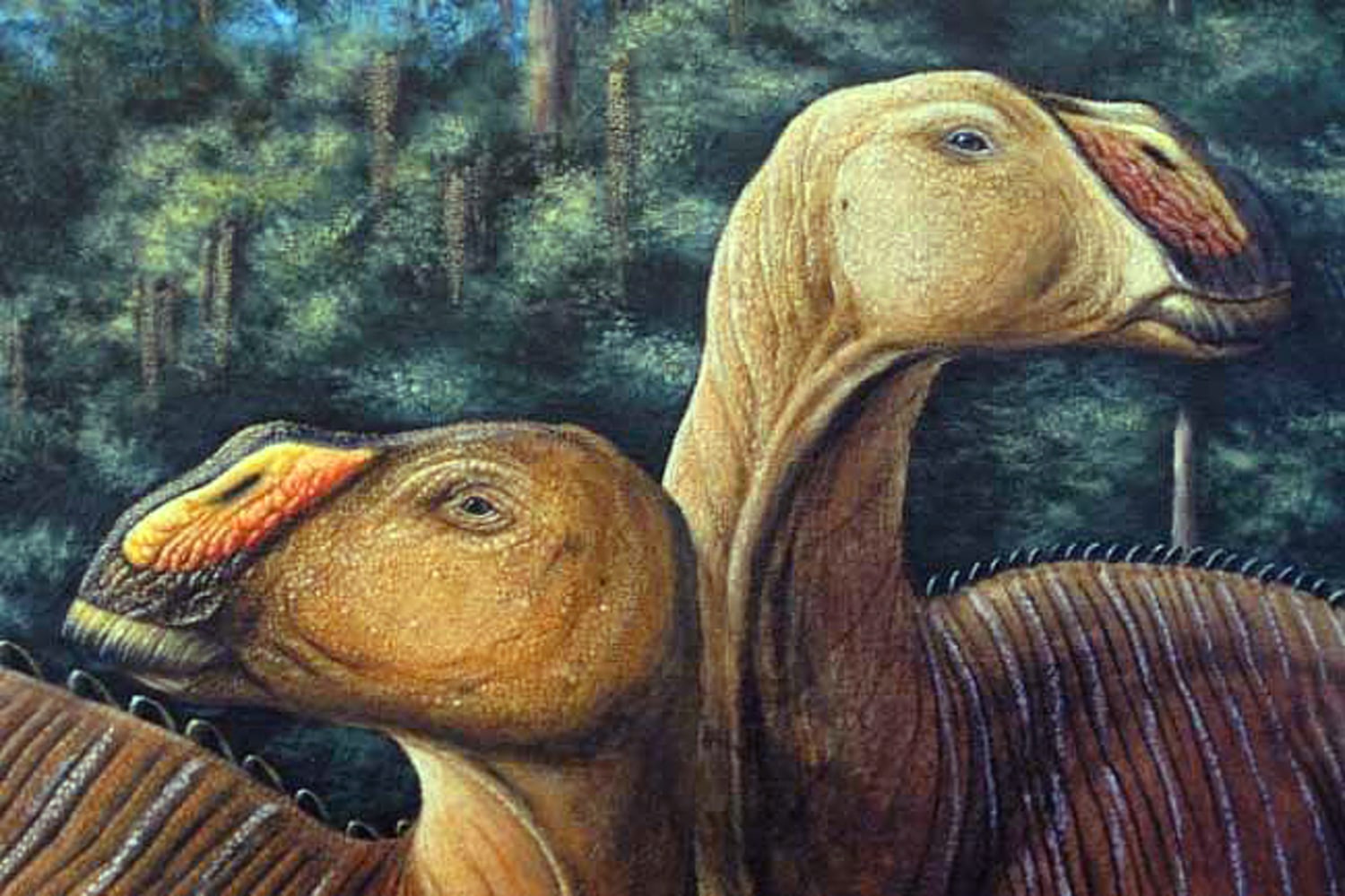 Detail Duck Billed Dinosaur Pictures Nomer 21