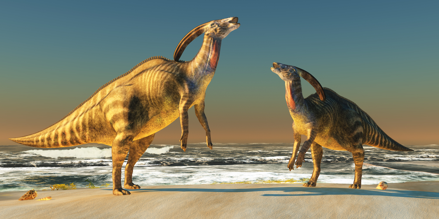 Detail Duck Billed Dinosaur Pictures Nomer 4