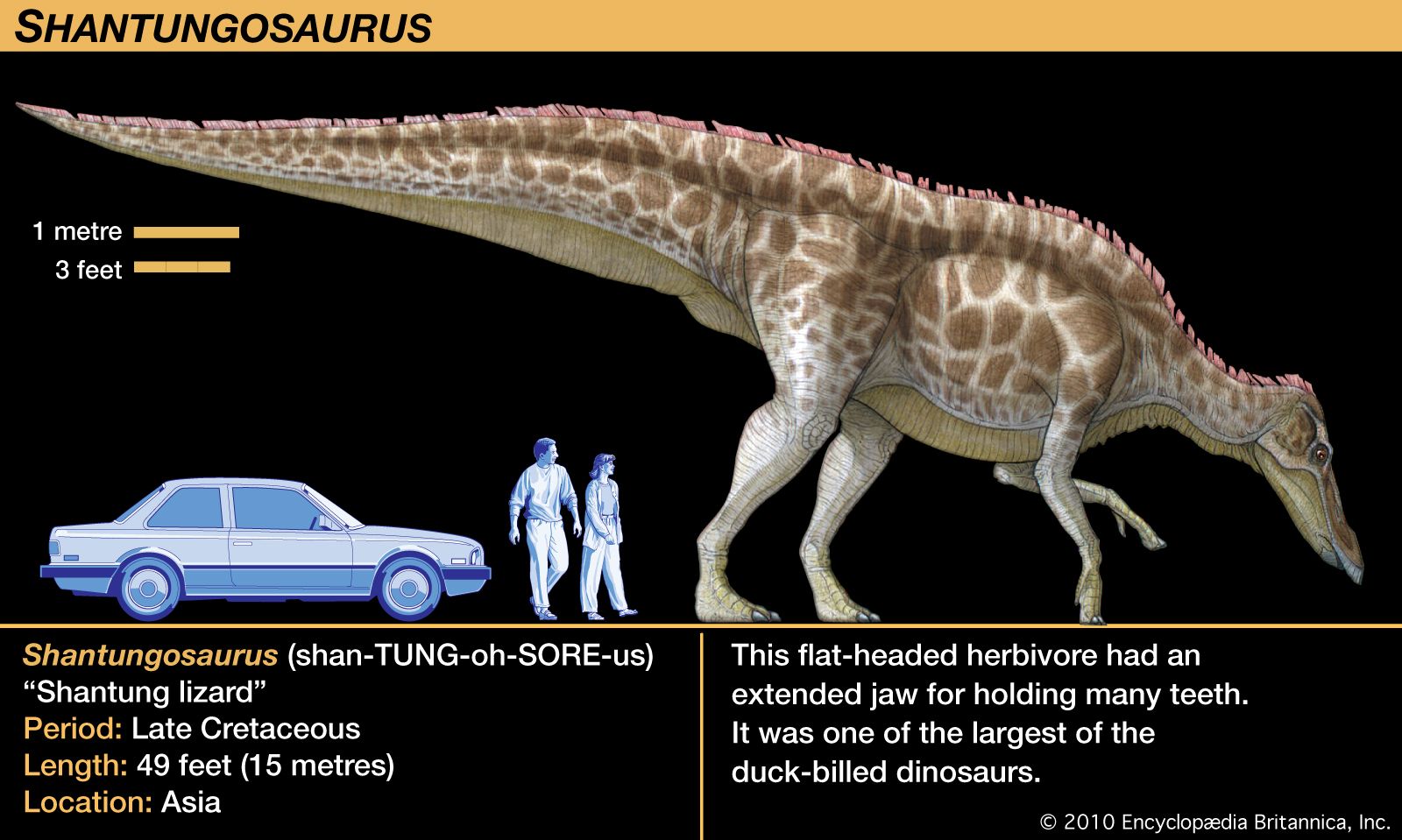 Detail Duck Billed Dinosaur Pictures Nomer 36