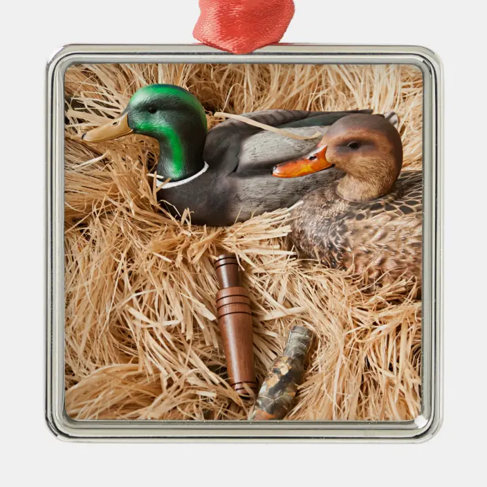 Detail Duck Call Baby Pacifier Nomer 50