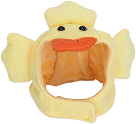 Detail Duck Hat For Golden Retriever Nomer 27