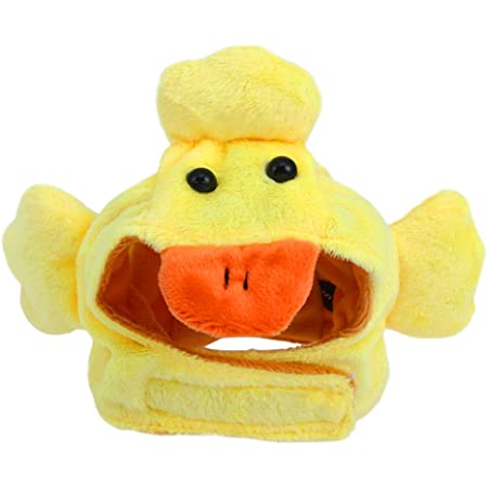 Detail Duck Hat For Golden Retriever Nomer 44