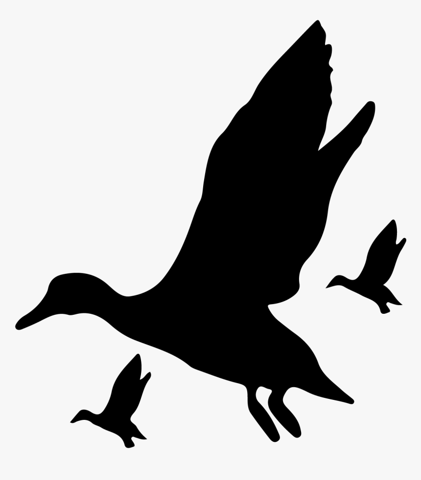 Detail Duck Hunt Duck Png Nomer 40