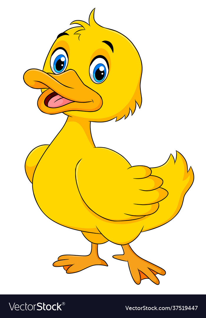 Duck Images Cartoon - KibrisPDR